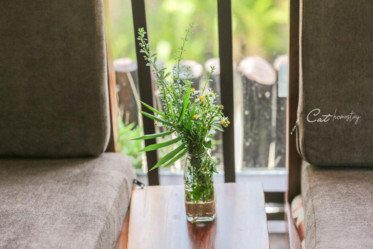 Cat Homestay Hue Exteriér fotografie