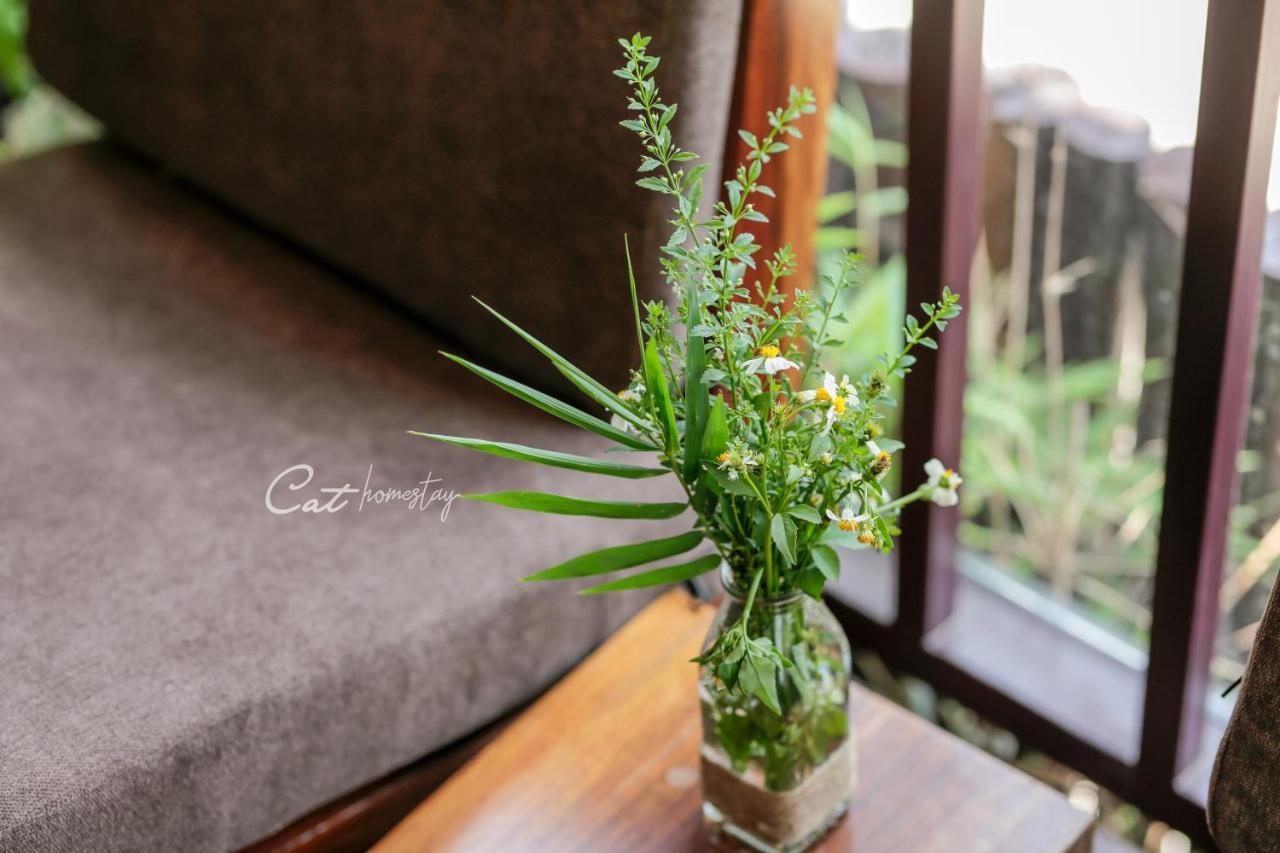 Cat Homestay Hue Exteriér fotografie