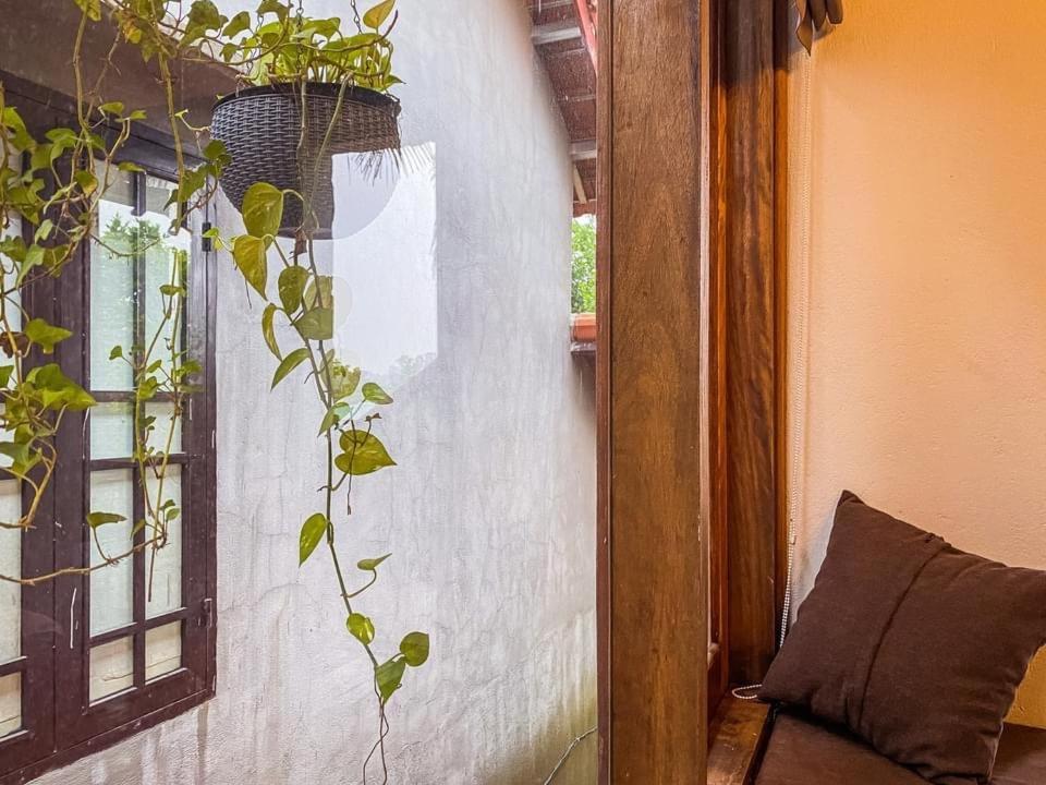Cat Homestay Hue Exteriér fotografie